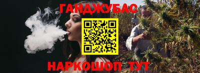 тгк Кингисепп