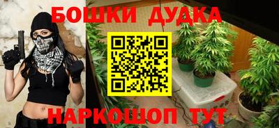 тгк Кингисепп