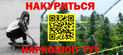 тгк Кингисепп