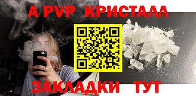 тгк Кингисепп