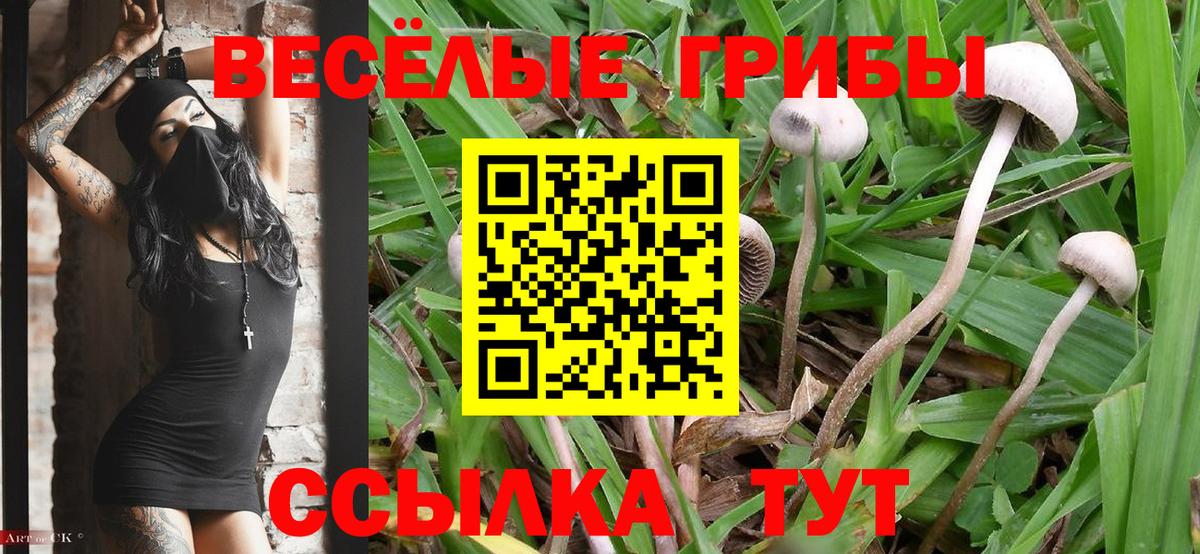 Alpha-PVP Лесозаводск