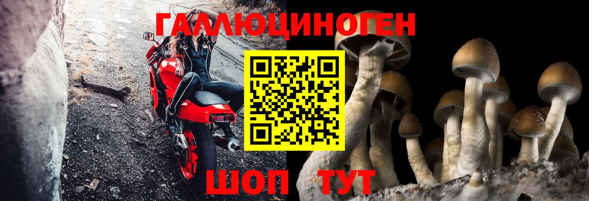 Лесозаводск  где можно купить наркотик  Вход с VPN  Галлюциногенные грибы Magic Shrooms 